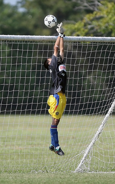 做好以下几 做好以下几