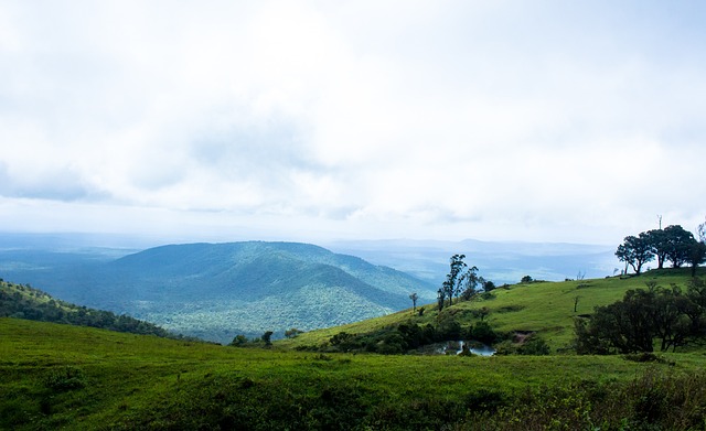 彩之處以及 彩之處以及