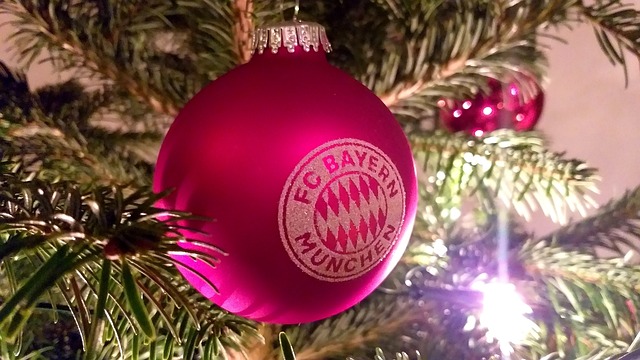 教练组正在 教练组正在