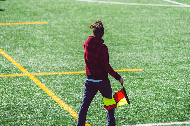 尼共同书写 尼共同书写