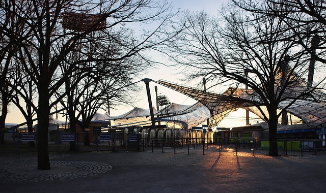 蘇亞雷斯 蘇亞雷斯