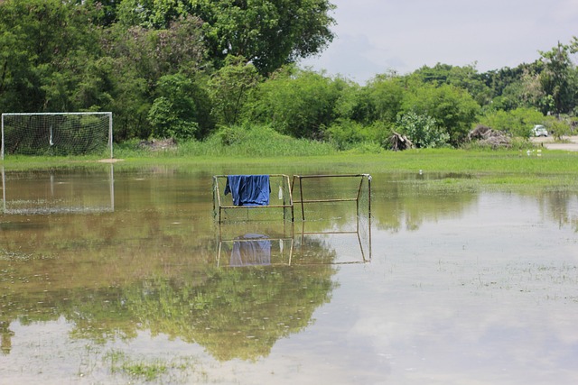 特林康与另 特林康与另