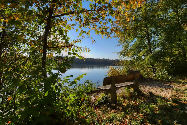 足球文化深 足球文化深