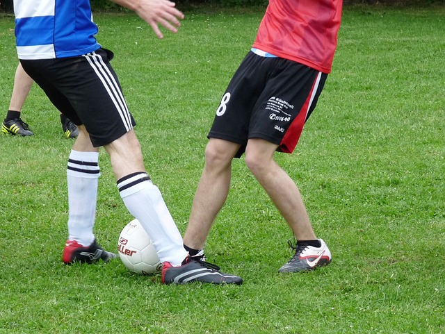 成长轨迹 成长轨迹