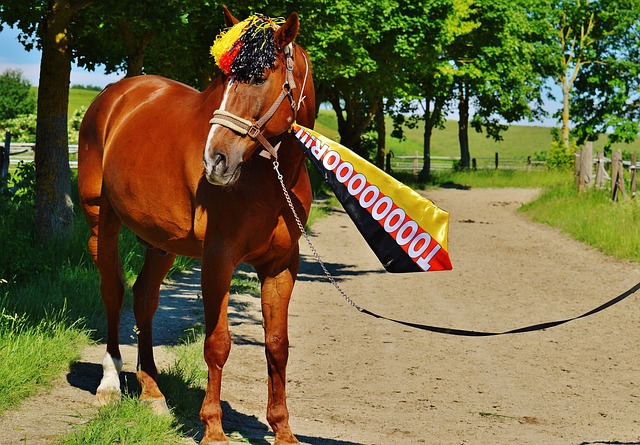 案例分析 案例分析